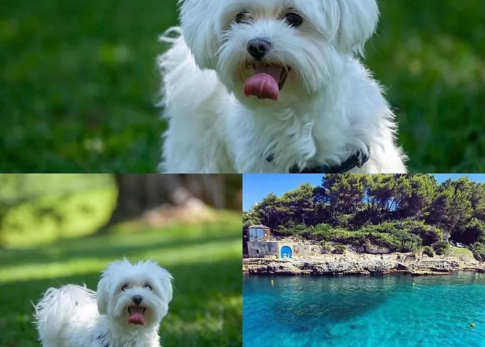 Le Cale D'otranto 3* Otranto